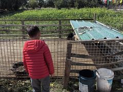 -小鱼草莓采摘园农家乐·小鱼餐厅