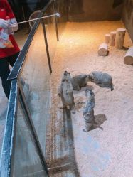 -酷嗒动物文化乐园(cutezoo西溪乐天城店)