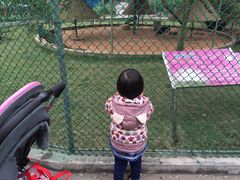 -广东茂名森林公园