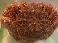 -海玥荟海鲜姿造自助餐厅(欧罗巴广场店)