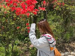 -永州阳明山国家森林公园