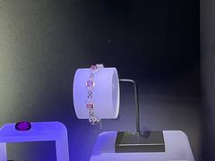 -湖南省地质博物馆