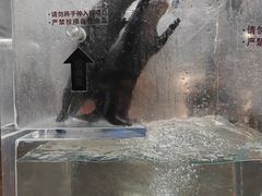 -哈尔滨波塞冬海底世界