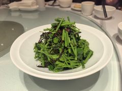 油鸡枞拌辣木苗-马旺子酒楼