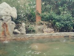 -深业半汤御泉庄温泉