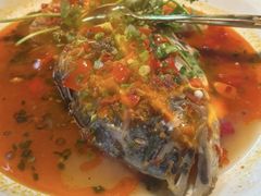 -坛宗剁椒鱼头(河西王府井店)