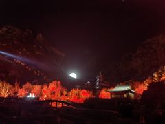 -禅宗少林·音乐大典