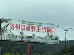-贵州森林野生动物园