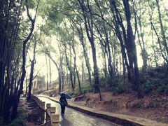 -灵岩山风景区
