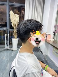 -茶发Salon·烫发染发理发