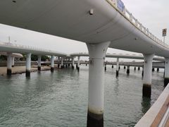 -演武大桥观景平台