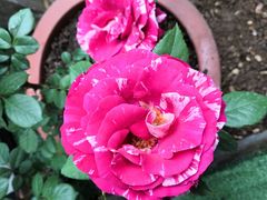 -合肥三国新城遗址公园