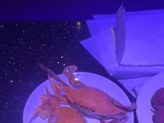 -萧邦音乐会所KTV·蒸汽活海鲜自助(福田店)