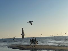 -老虎石海上公园