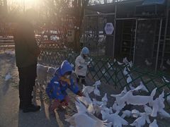 -1982农场