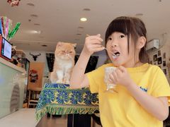 -平行世界·猫咖(首经贸店)