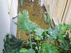 -邈墨茶馆(凤起路店)