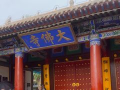 -张掖大佛寺景区