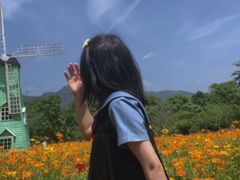 -田野绿世界