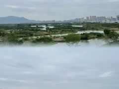 -三垟湿地