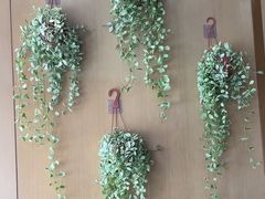 -华厦大酒店·桃源西餐厅·自助餐