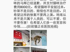 盛京一禾-盛京一禾