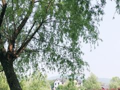 -石塘人家