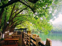 -白马涧龙池景区