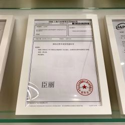 -臣丽纹眉品牌连锁