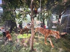 -国家自然博物馆