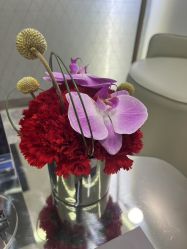 -明潪Selfology升维护理中心