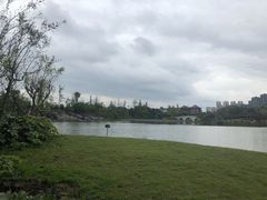 -眉山湿地公园(东坡区)