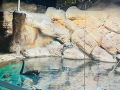 -上海海洋水族馆