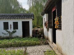 -溱湖国家湿地公园