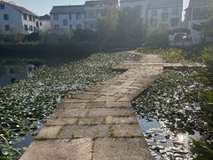 -东梓关景区村庄