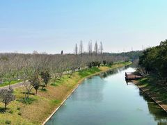 -上海海湾国家森林公园