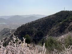 -北京鹫峰国家森林公园