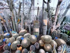 -国家植物园南园