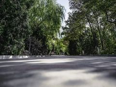 -塘沽森林公园
