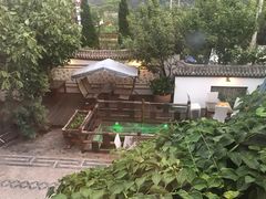 -慢丽江·云南野生菌土鸡锅(西山店)