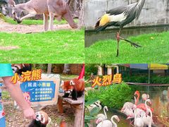 -灵玲国际马戏城