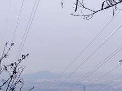 -白云山风景名胜区