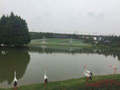 -秀丽东方
