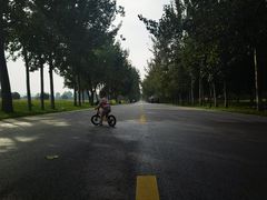 -汉长安城未央宫国家考古遗址公园