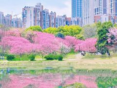 -堤角公园