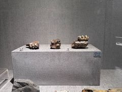 -仪征博物馆