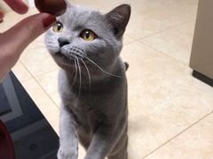 -星巴克(南通海安文峰大世界店)