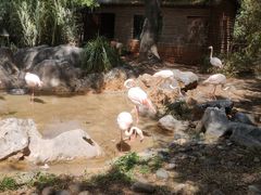 -昆明动物园