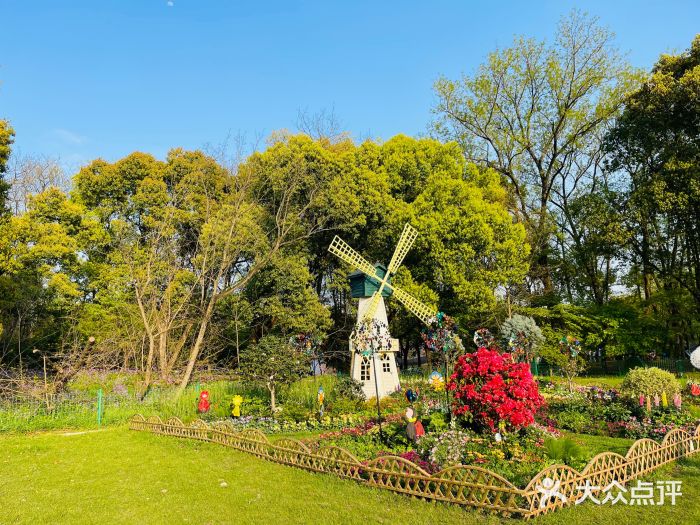 上海共青森林公园图片