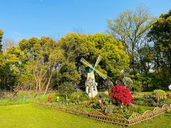 -上海共青森林公园